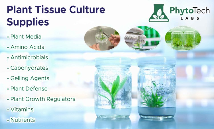 Plant Tissue Culture Supplies