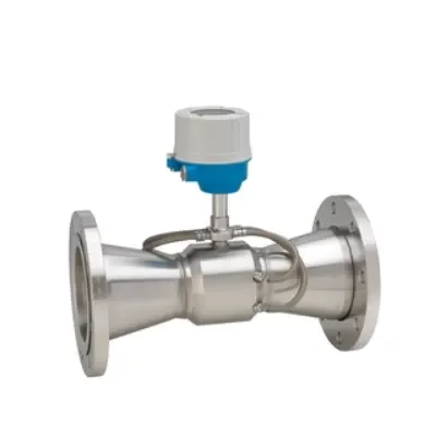 Proline Prosonic Flow E100