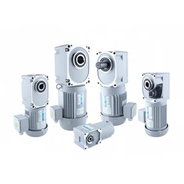 F2F3 Hypoid Gear Motor