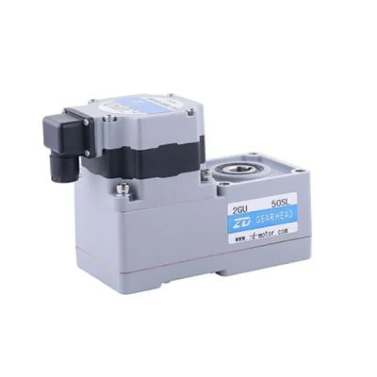 Brushless DC Gear Motor SL Series 60mm 100W