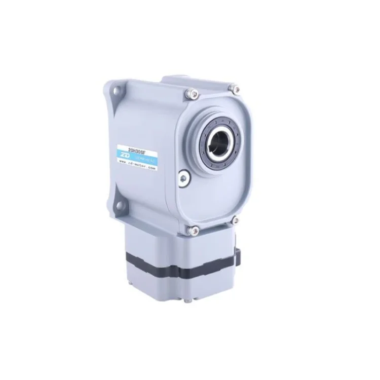 Brushless DC Gear Motor