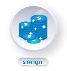 ราคาถูก