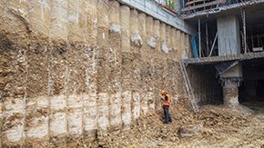 gINT Professional Plus