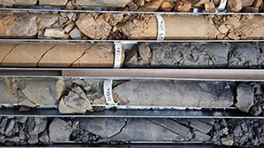 gINT Professional gINT Professional