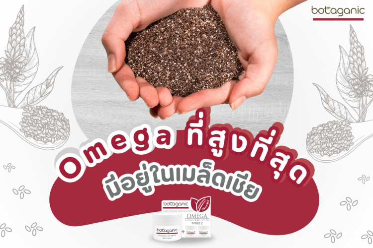Omega 369 โอเมก้าสูง เมล็ดเจีย เมล็ดเชีย บาล์มโอเมก้า โอเมก้าบาลืม ทาผิวเด้ก ผิวแพ้ง่าย บาล์มทายุงกัด บาล์มแก้แพ้ บาล์มทาผื่น