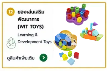 ของเล่นเสริมพัฒนาการ wit toy