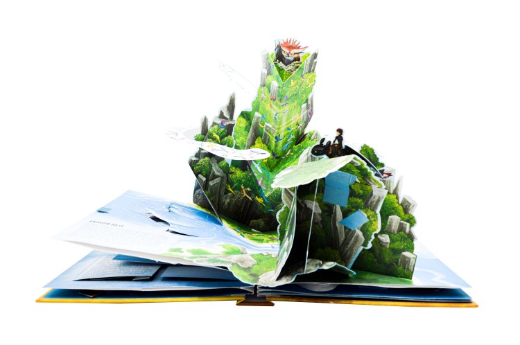 POP UP BOOK