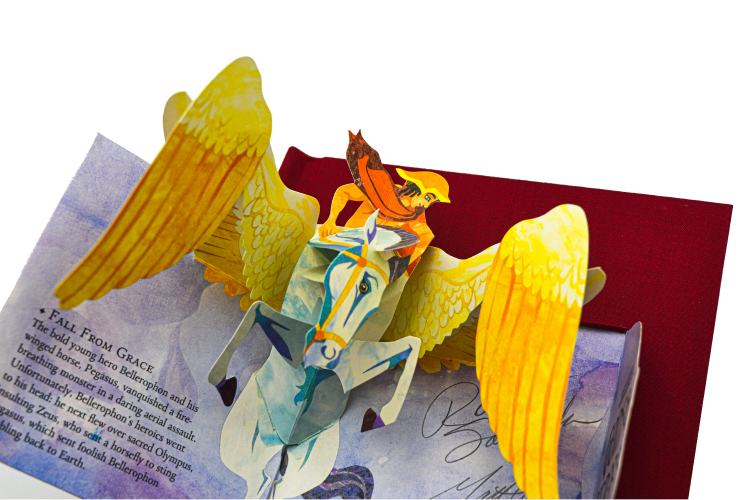 POP UP BOOK