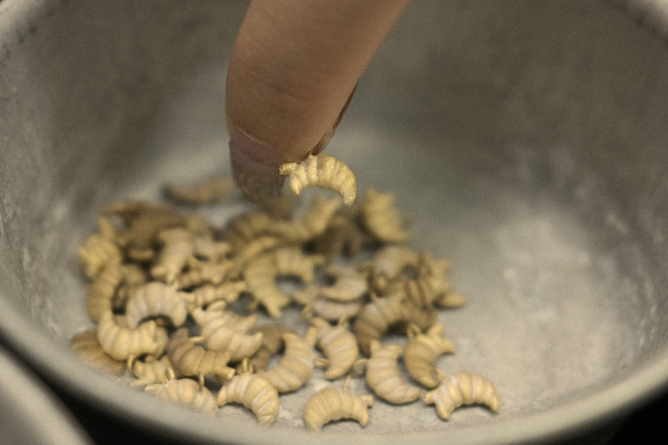 โรงหล่อทองเหลือง กรุงเทพ