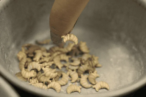 โรงหล่อทองเหลือง_กรุงเทพ