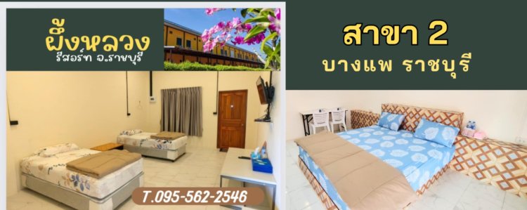 ผึ้งหลวงบางแพ