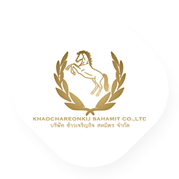 หนึ่งในแหล่งข้าวหอมมะลิที่ดีที่สุด ข้าวหอมมะลิทุ่งกุลาร้องไห้ จ.สุรินทร์