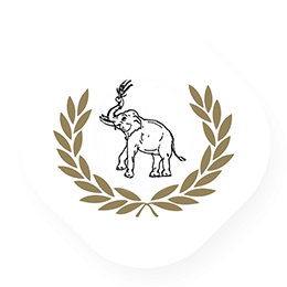 หนึ่งในแหล่งข้าวหอมมะลิที่ดีที่สุด ข้าวหอมมะลิทุ่งกุลาร้องไห้ จ.สุรินทร์