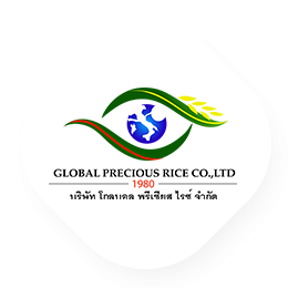 หนึ่งในแหล่งข้าวหอมมะลิที่ดีที่สุด ข้าวหอมมะลิทุ่งกุลาร้องไห้ จ.สุรินทร์