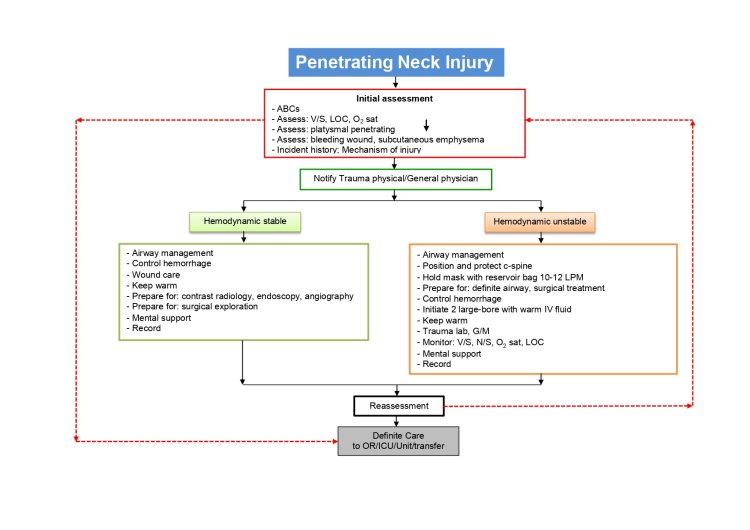 Neck Injury Risk Curce Trauma Guidelines®