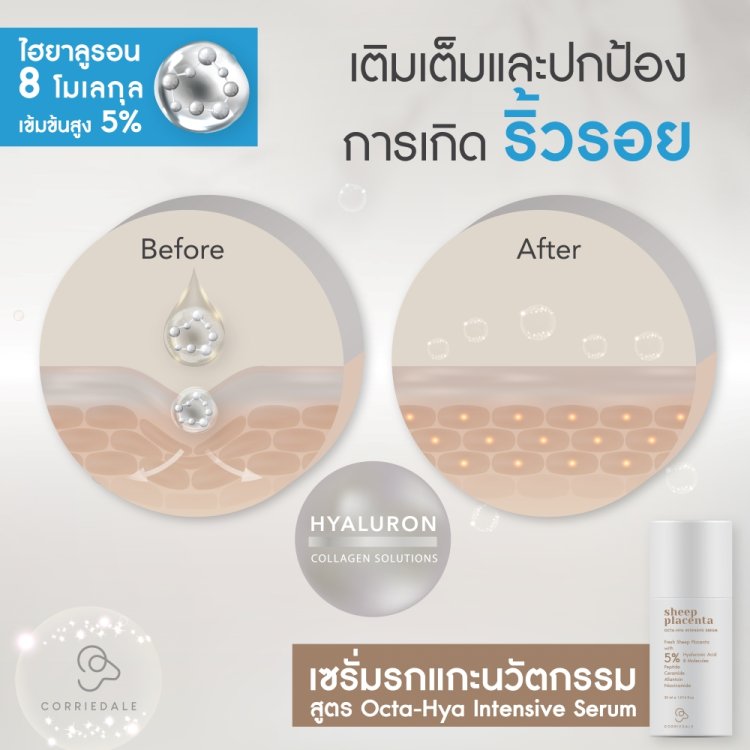 เซรั่มรกแกะนวัตกรรม ด้วยรกแกะอนุภาคนาโน ผสานไฮยาลูรอน 8 โมเลกุล เข้มข้นสูง 5%