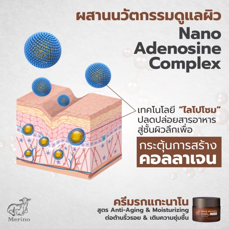 ครีมรกแกะนาโน สูตรต่อต้านริ้วรอย เติมความชุ่มชิ้น