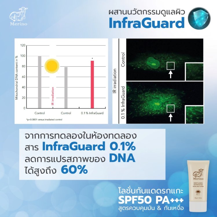 โลชั่นกันแดดรกแกะ SPF50 PA+++