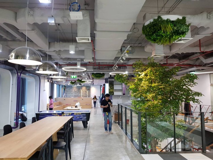 ต้นไทรเทียม และโมบายไม้ประดิษฐ์ตกแต่งเพดาน 3