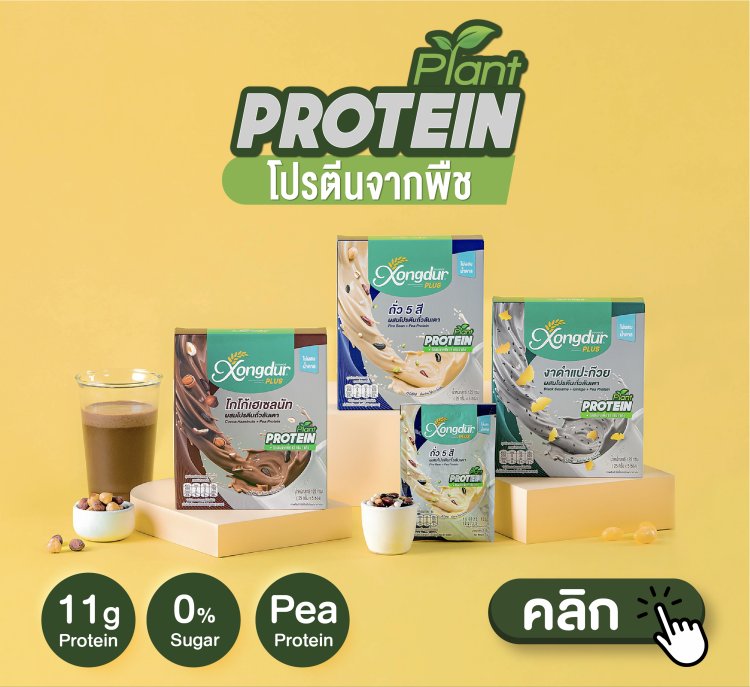 เครื่องดื่มโปรตีนจากพืช ตราซองเดอร์