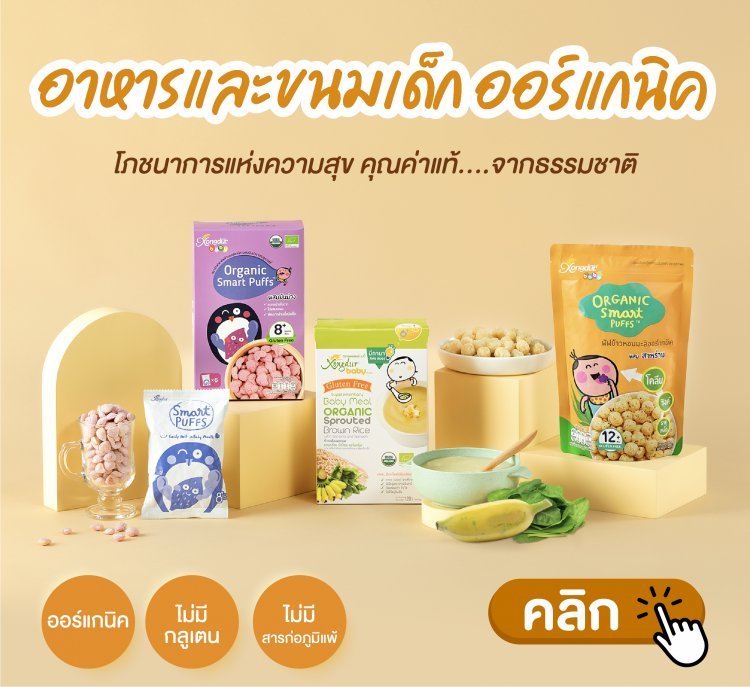 Organic Baby Food Xongdur อาหารเด็กออร์แกนิคตราซองเดอร์