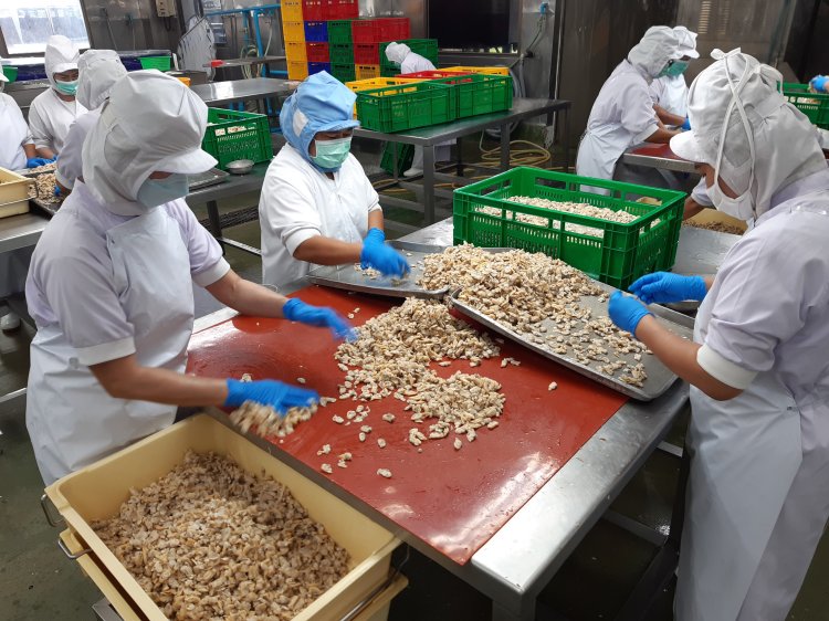 Raw Meterial Treatment