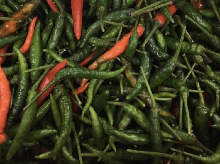 Raw Meterial Treatment