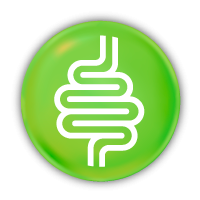 Probiotic ปรับสมดุลลำไส้ ลดน้ำหนัก