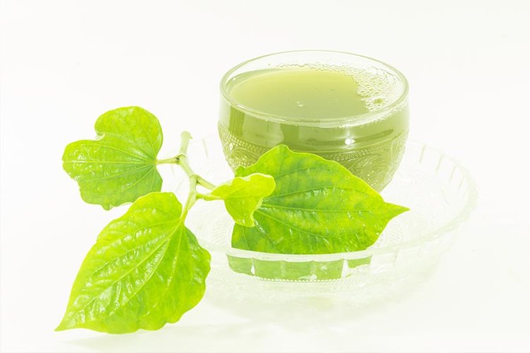 น้ำสมุนไพรพลูคาว  น้ำสมุนไพรคาวตอง