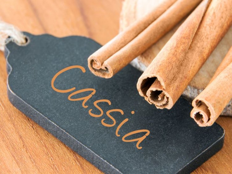 Cassia