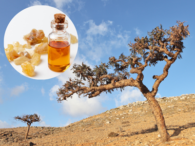 Frankincense
