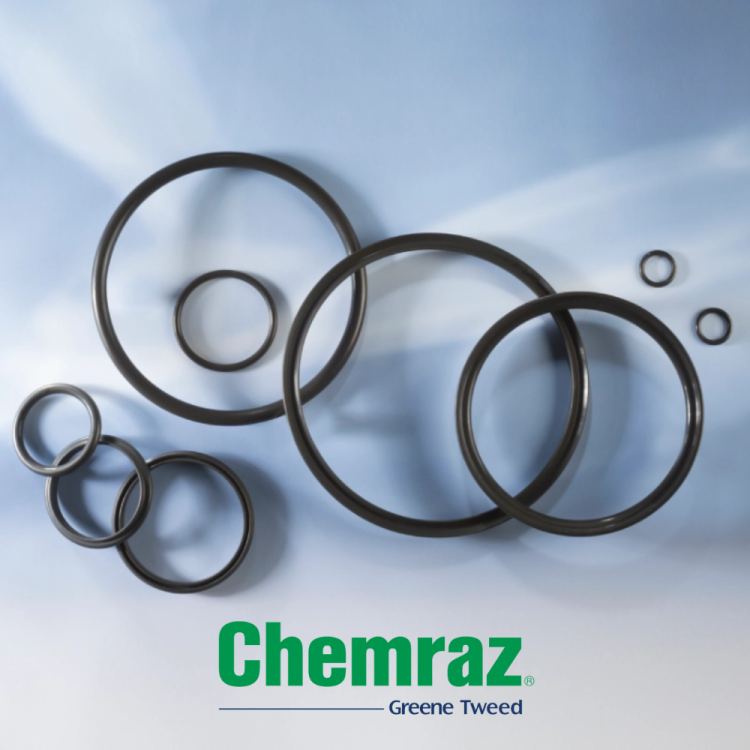 O_Ring_chemraz