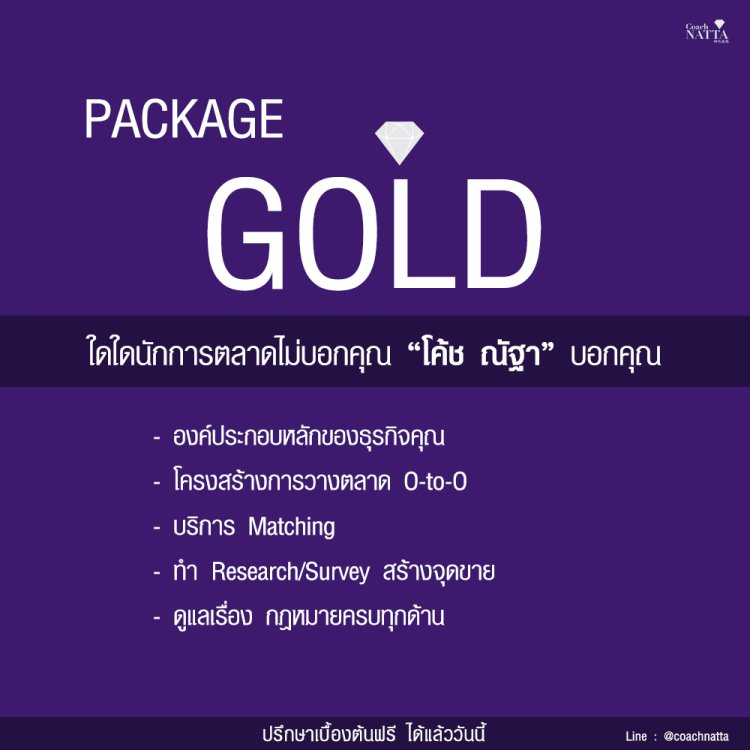 China Marketing Consulting2