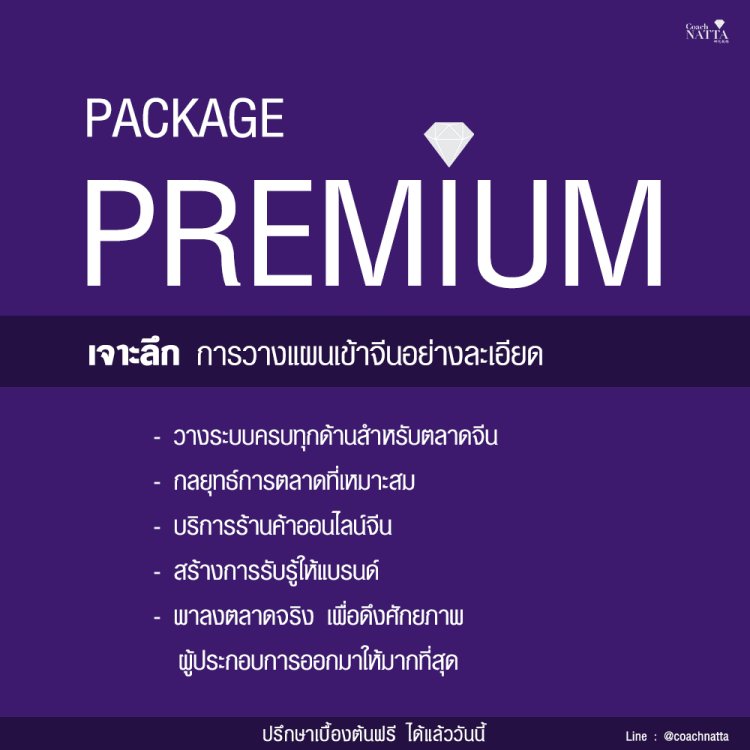 China Marketing Consulting3