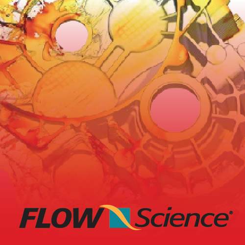 Flow Science