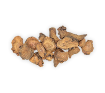 โกฐน้ำเต้า