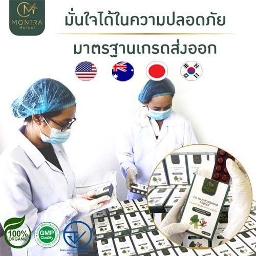 ยาริดสีดวง มนตรา ยาริดสีดวงเกรดส่งออกต่างประเทศ