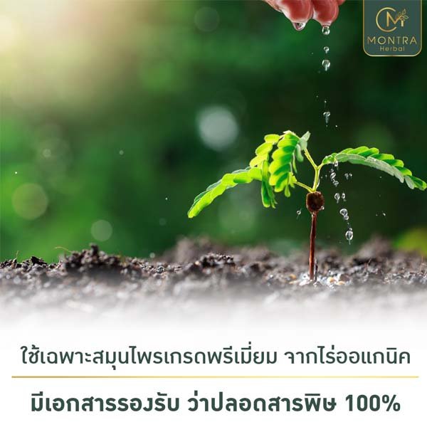 ยาริดสีดวง มนตรา ใช้เฉพาะสมุนไพรปลอดสารพิษ สมุนไพร รักษาริดสีดวง,สมุนไพร ริดสีดวง