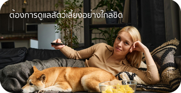 CCTV ความต้องการดูแลสัตว์เลี้ยงอย่างใกล้ชิด By Highsolution