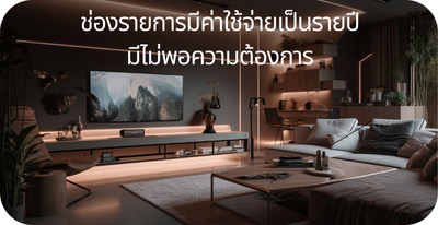 ช่องรายการมีค่าใช้จ่ายเป็นรายปี