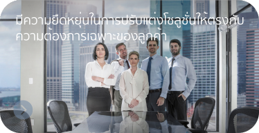 Flexibility_in_customizing_solutions_by_hstn