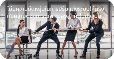 no_flexibility_in_customizing_the_system_by_hstn