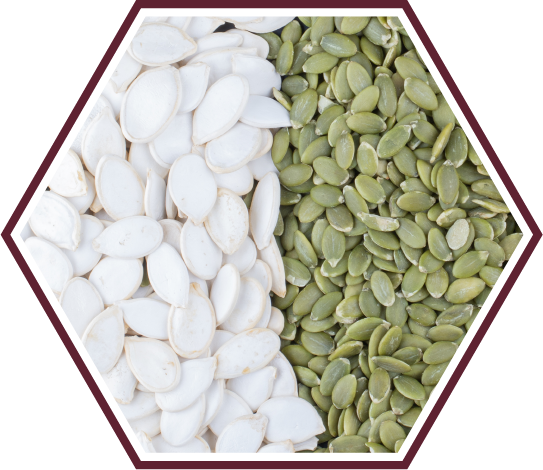 HASHI PFLOW สารสกัดจากเมล็ดฟักทอง