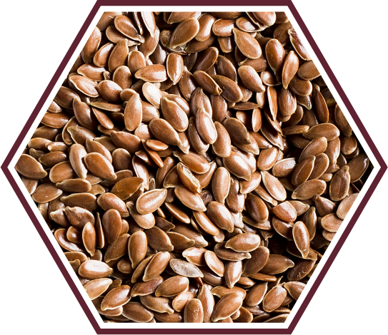 HASHI PFLOW สารสกัดจากเมล็ดแฟลกซ์