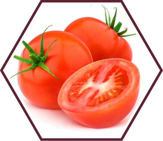 HASHI PFLOW ไลโคปีน (Lycopene) จากมะเขือเทศ