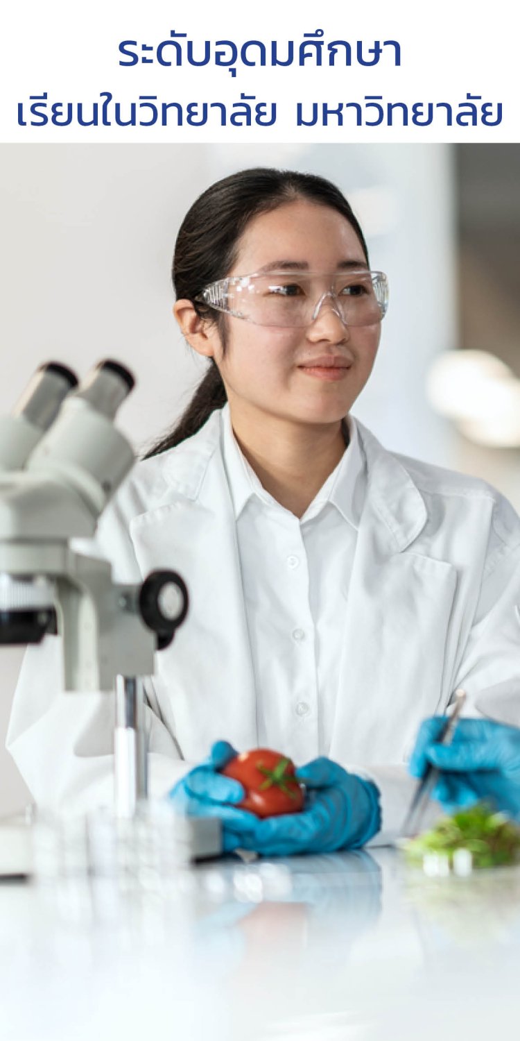 เรียนภาษาอังกฤษ  เรียนภาษาจีน  เรียนโรงเรียนมัธยม  เรียนมหาวิทยาลัย  เรียนซัมเมอร์  เรียนต่อต่างประเทศ