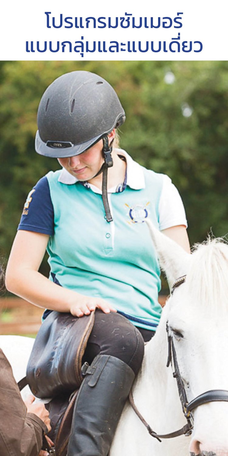 เรียนภาษาอังกฤษ  เรียนภาษาจีน  เรียนโรงเรียนมัธยม  เรียนมหาวิทยาลัย  เรียนซัมเมอร์  เรียนต่อต่างประเทศ