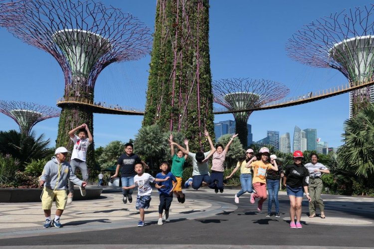 ซัมเมอร์สิงคโปร์