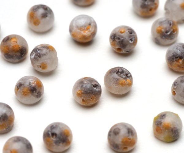 Fuseable เมล็ดฟิวสเบิ้ล