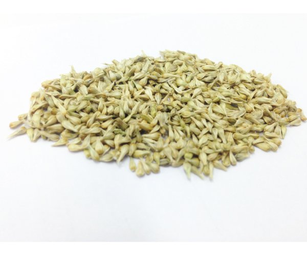 Natural เมล็ดตามธรรมชาติ